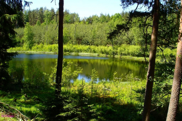 Jezioro Koci Łeb