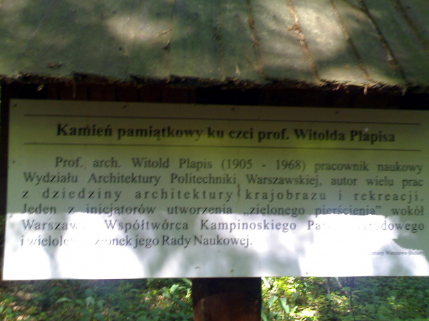 Kamień Witolda Plapisa, Kampinoski Park Narodowy #WitoldPlapis #KampinoskiParkNarodowy