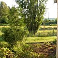 Widok z patio