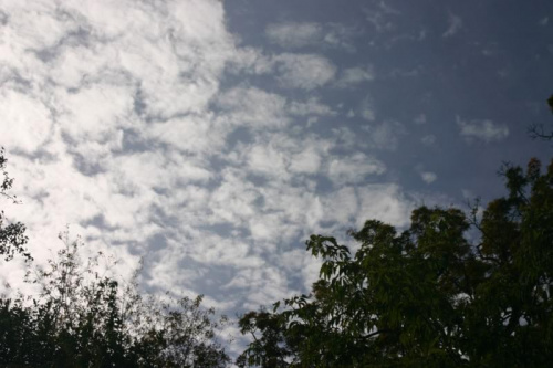 #chmury #drzewa #niebo