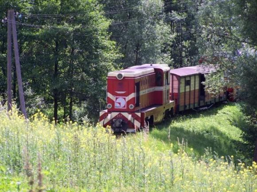 "PogĂłrzanin" - Jedna z niewielu obecnie czynnych koleji wÄ
skotorowych w Polsce. Kursuje na trasie Przeworsk - DynĂłw k. Rzeszowa.