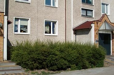 Blisko do domu #JużBlisko #dom #kawa #dymek