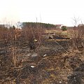 Fragment lasu-podziałkowych wertepów niedługo po pożarze. Na szczęście jednak natura potrafila się zregenerować. Obecnie jest tam znów zielono. #SpalonyLas #wertepy