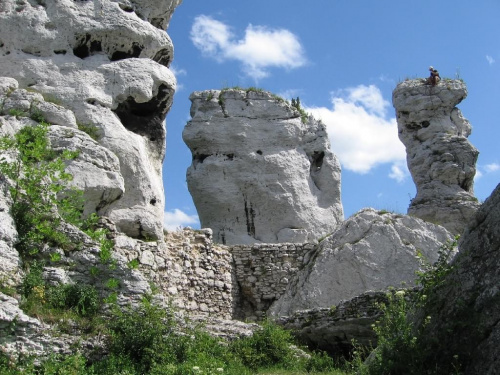 Podzamcze (Ogrodzieniec) - 02.07.2006 r.